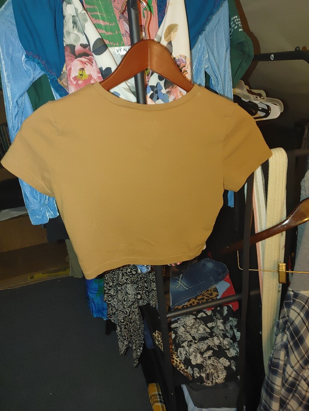 Short Sleeve Cropped Tee - Women Tops - Picture 5 of 10